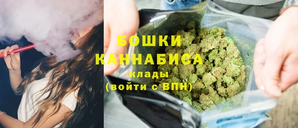 сатива Богданович