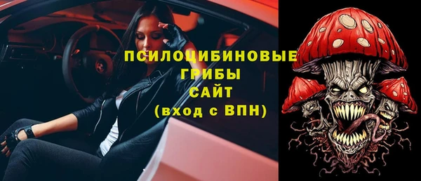 сатива Богданович