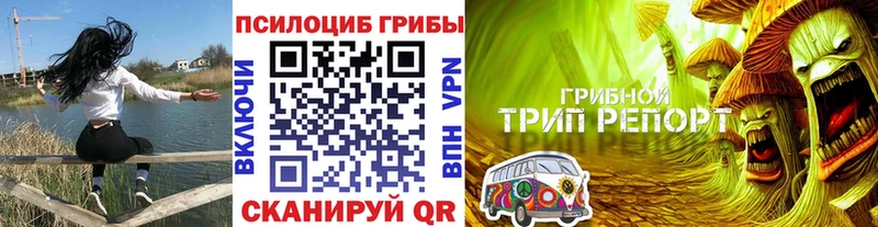 Псилоцибиновые грибы мухоморы  Воскресенск 